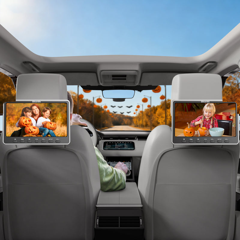 in car dvd player 2 screen