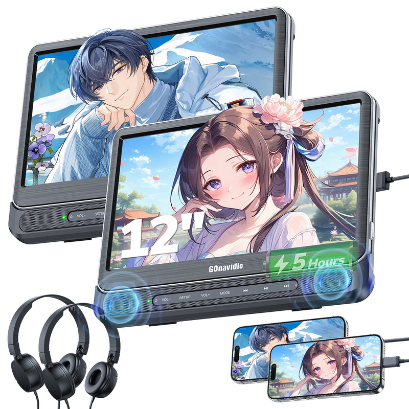car dvd player dual screen